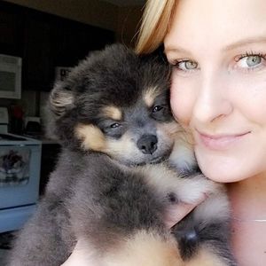 Meet your Posher, Molly